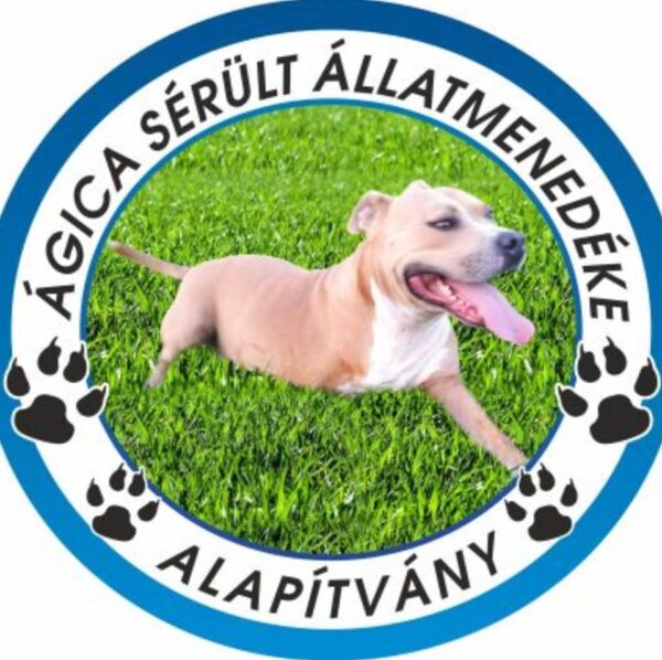 Áram bekötése a solti állatmenhelyre