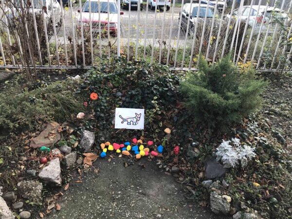 Pendülj velünk! – Gyűjtés kerti hangszerépítésre fogyatékos embertársainknak - Image 3