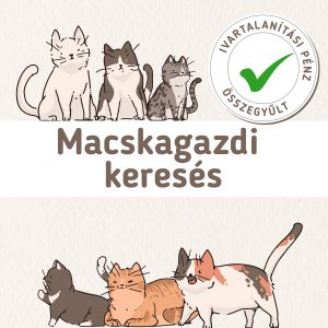 macskaivartalanítás kész