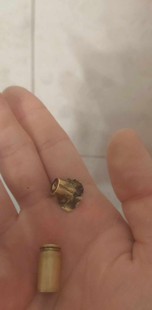 (LEZÁRULT!) Meglőtték passzivistánk kutyáját, szilánkosra törtek a csontjai – a kezelés költségeire gyűjtünk - Image 2